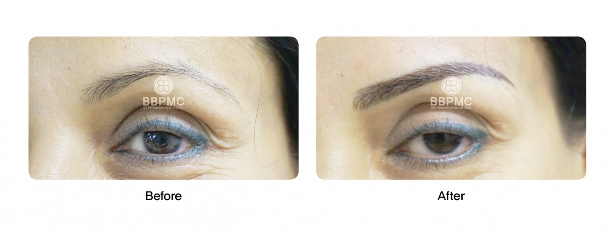 Eyebrows with combination Technique  (Feathering + Shadowing)